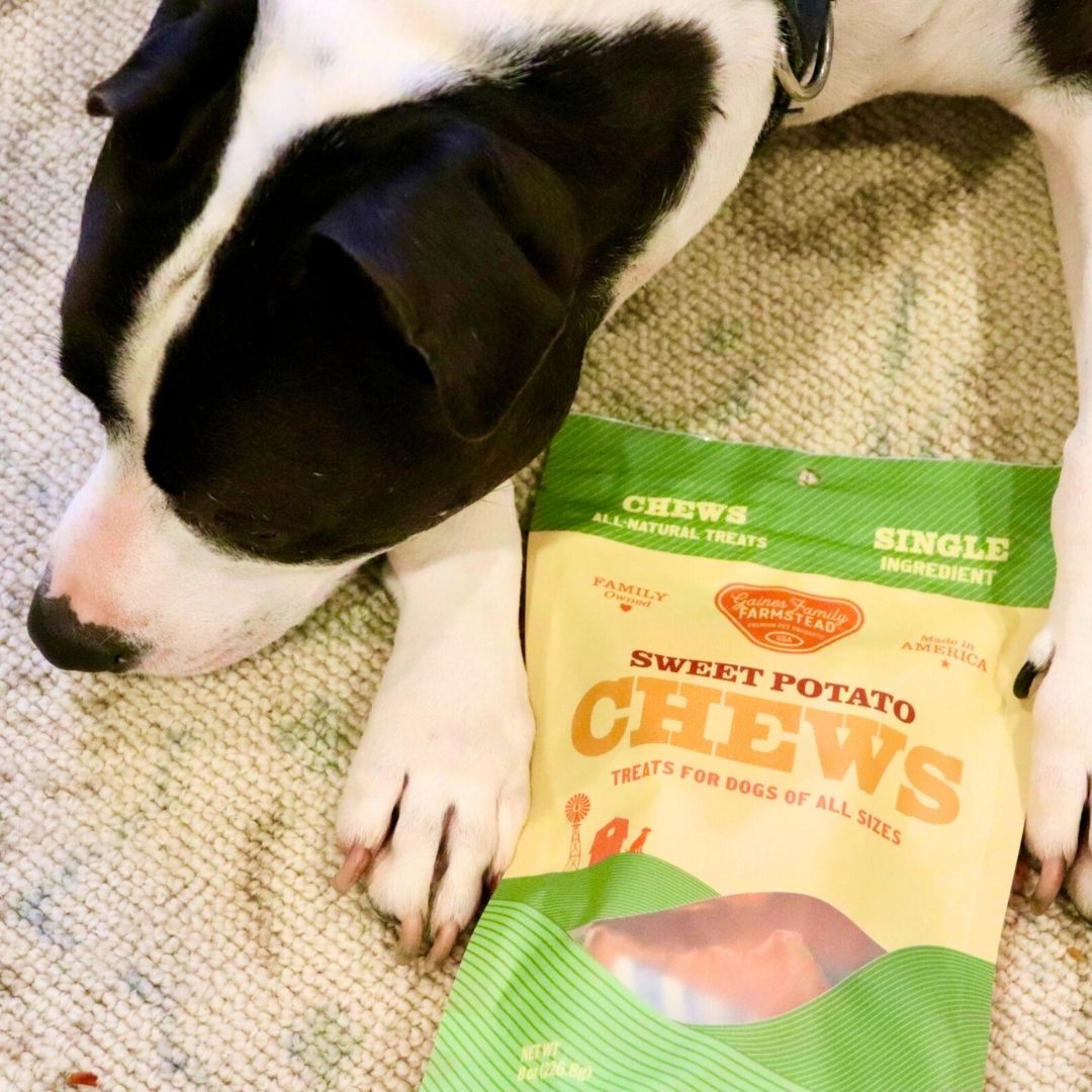 Sweet Potato Chews